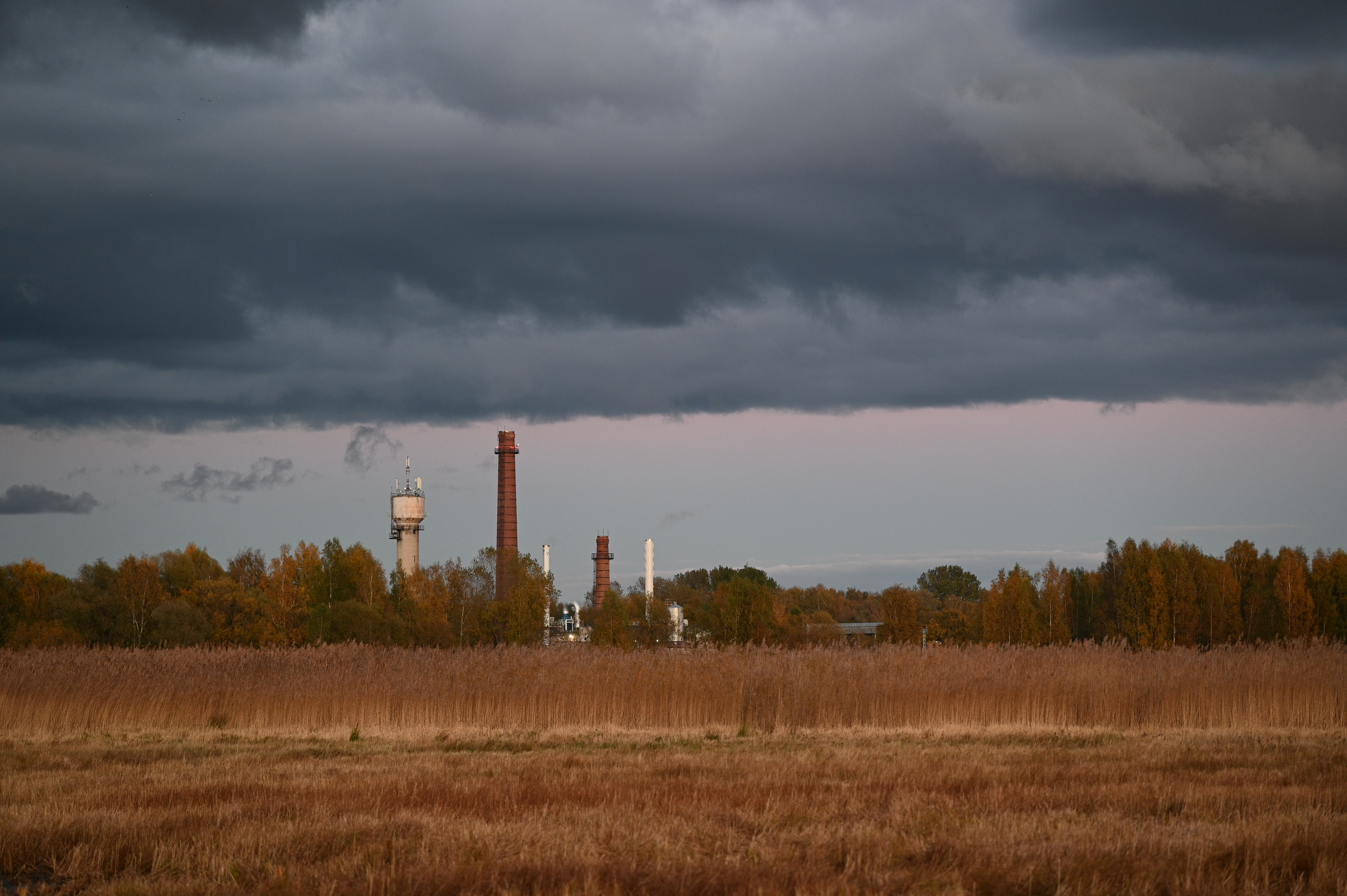 2025/10/18 - walk/DSC_0565.JPG